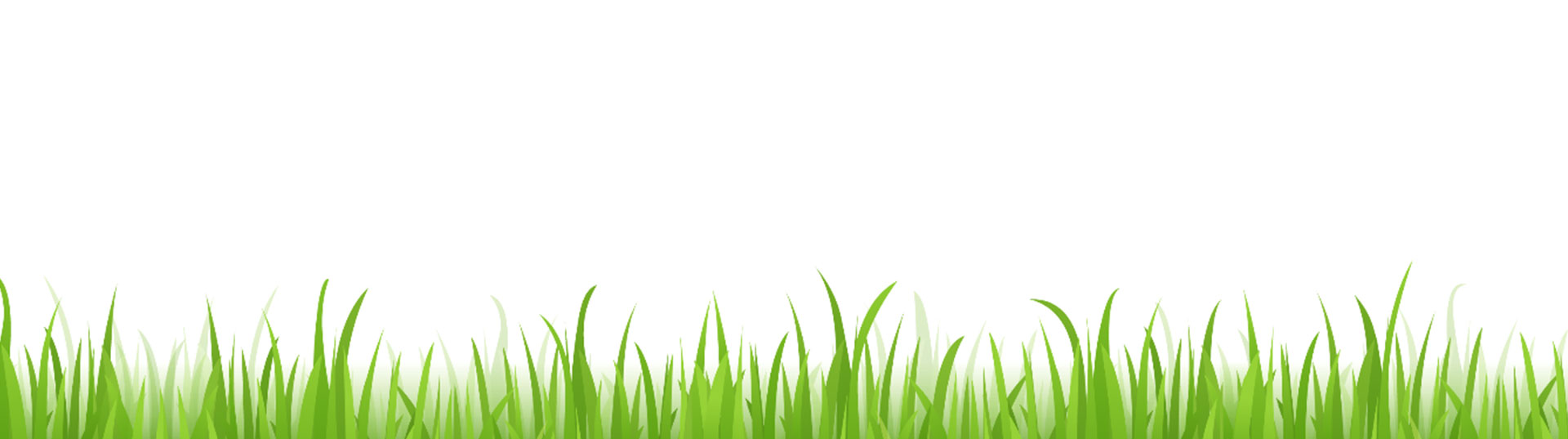 Grass Background Image