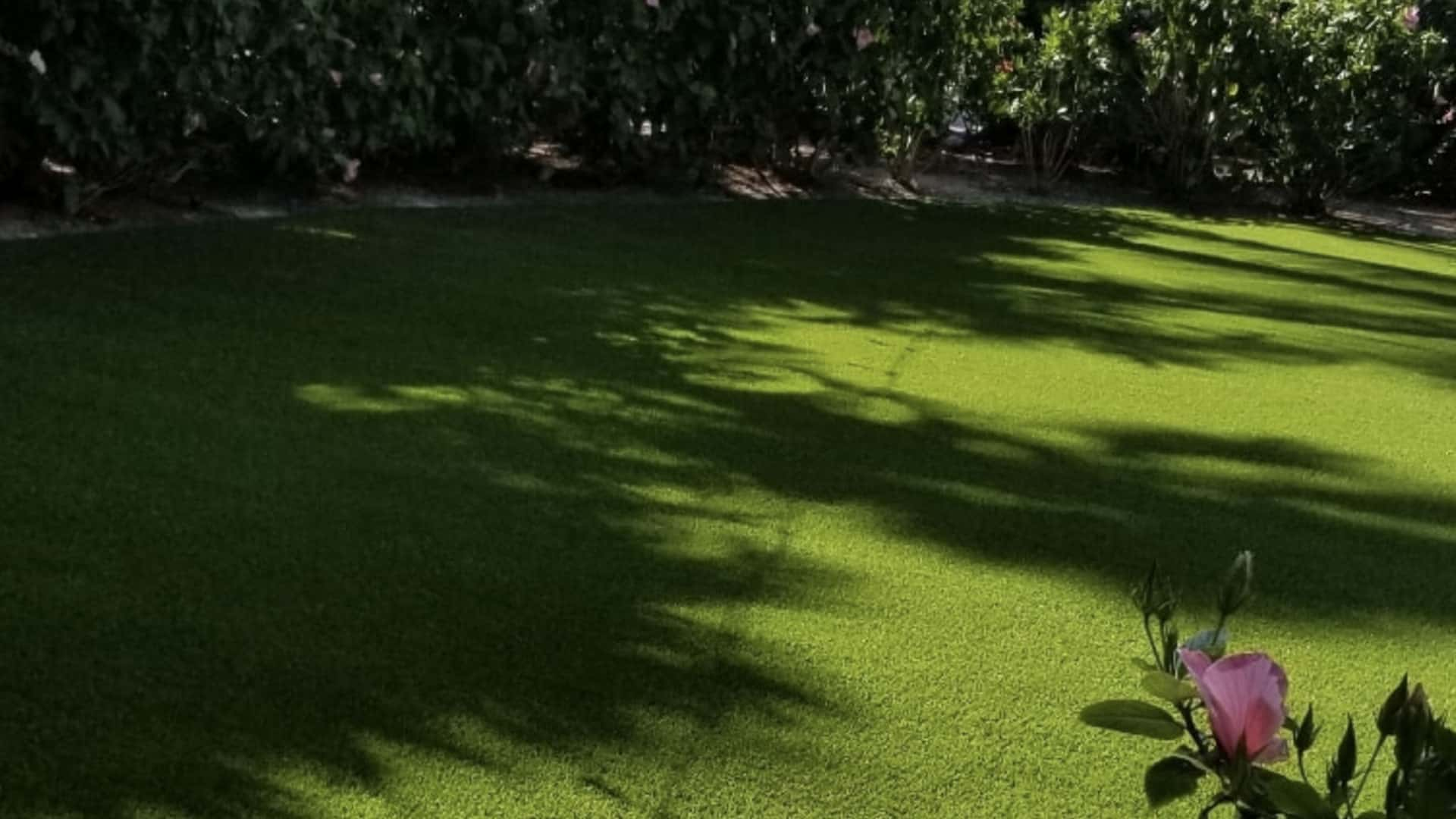 Artificial Grass Installation