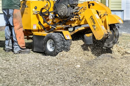 Stump grinding